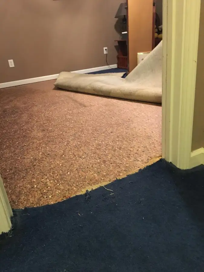 Carpet pad removal revealing water damage during Drying & Dehumidification in Jacksonville Beach