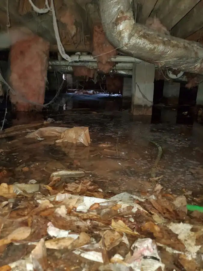 Crawl space flood assessment for Commercial Water Damage Restoration in Jacksonville Beach